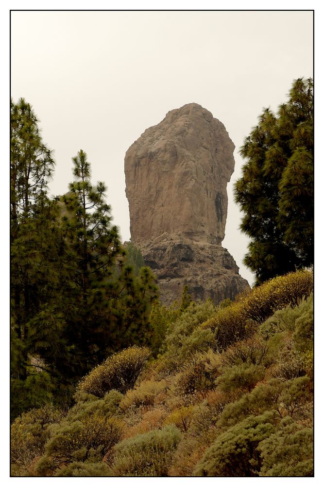 Rund um den Roque Nublo