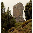 Rund um den Roque Nublo