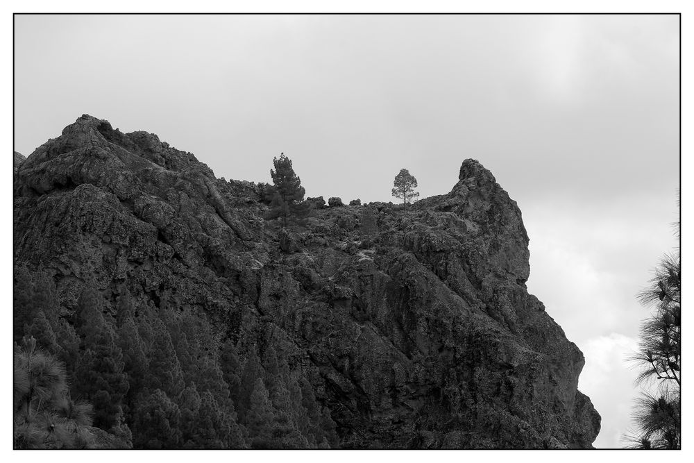 Rund um den Roque Nublo