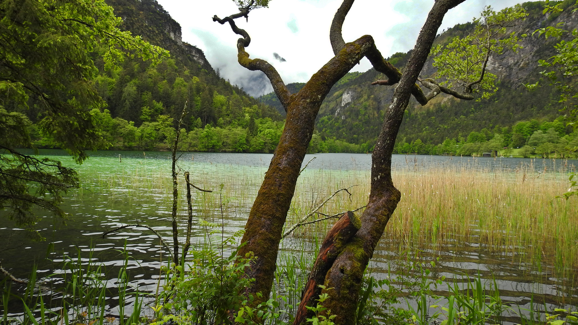 Rund um den Thumsee 