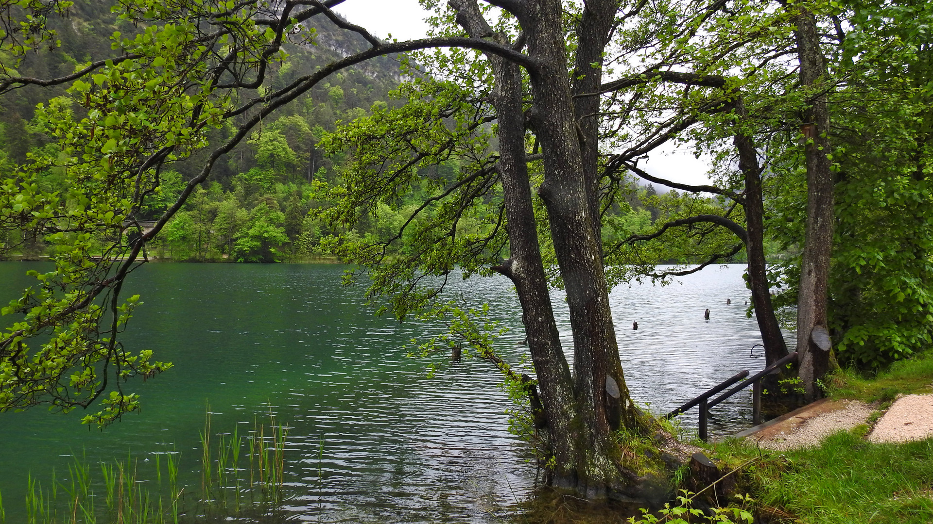 Rund um den Thumsee