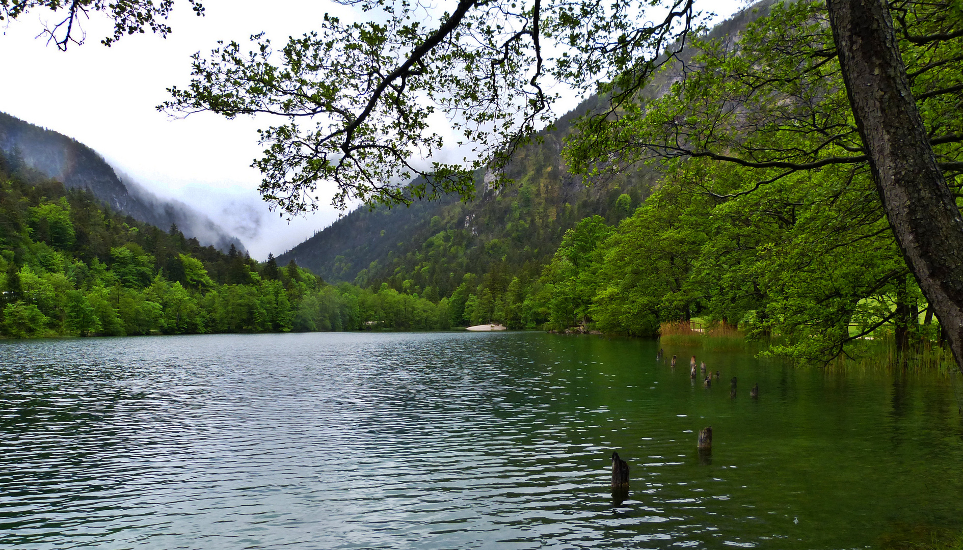 Rund um den Thumsee 