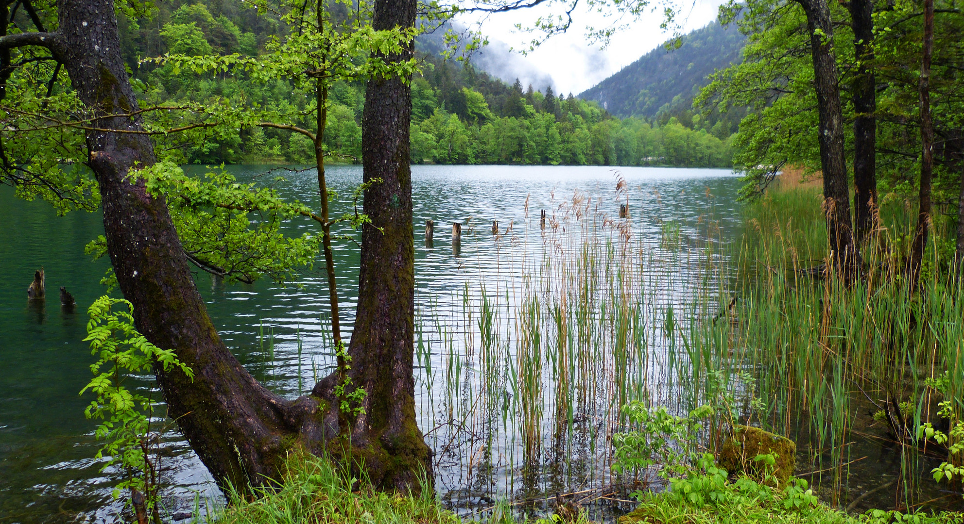 Rund um den Thumsee 