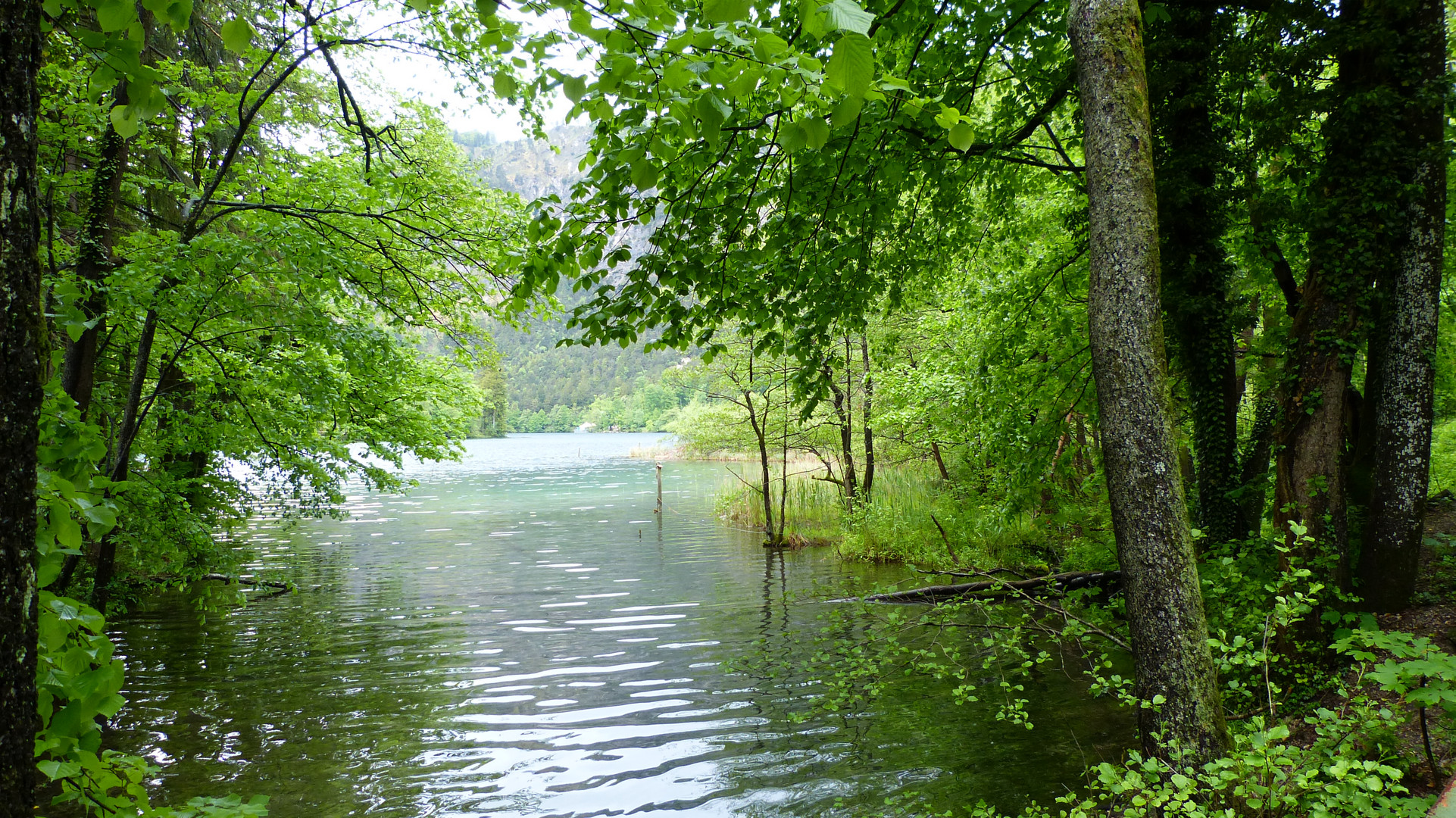 Rund um den Thumsee 