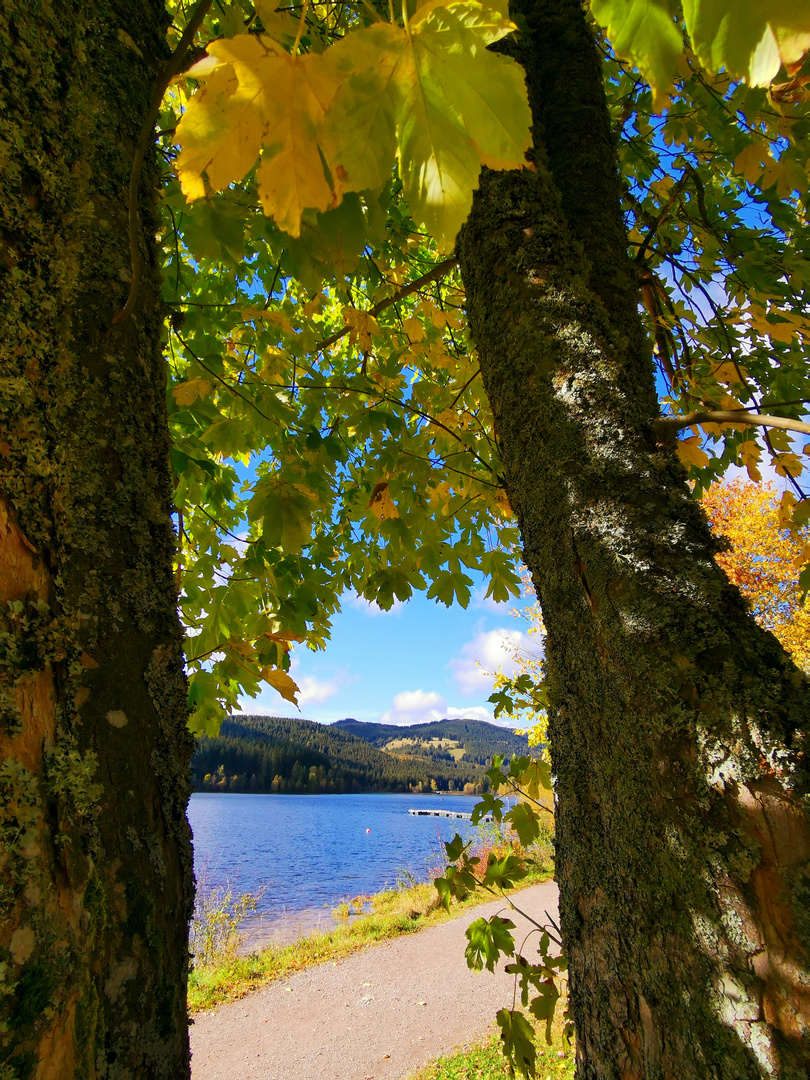 Rund um den Titisee 