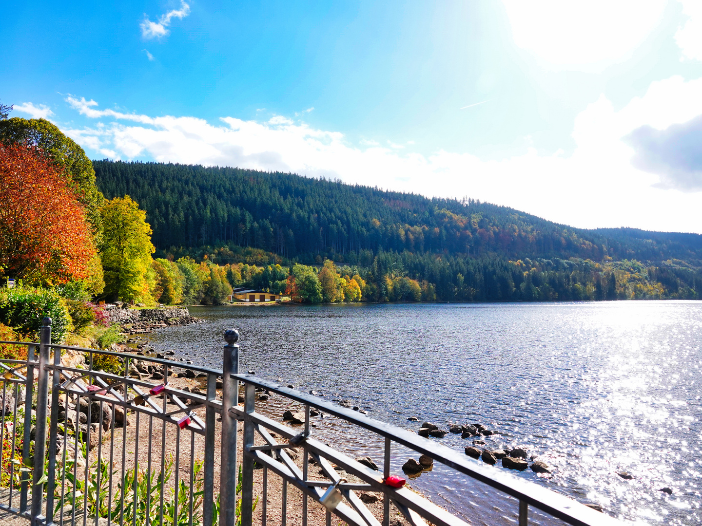 Rund um den Titisee 