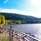 Rund um den Titisee 