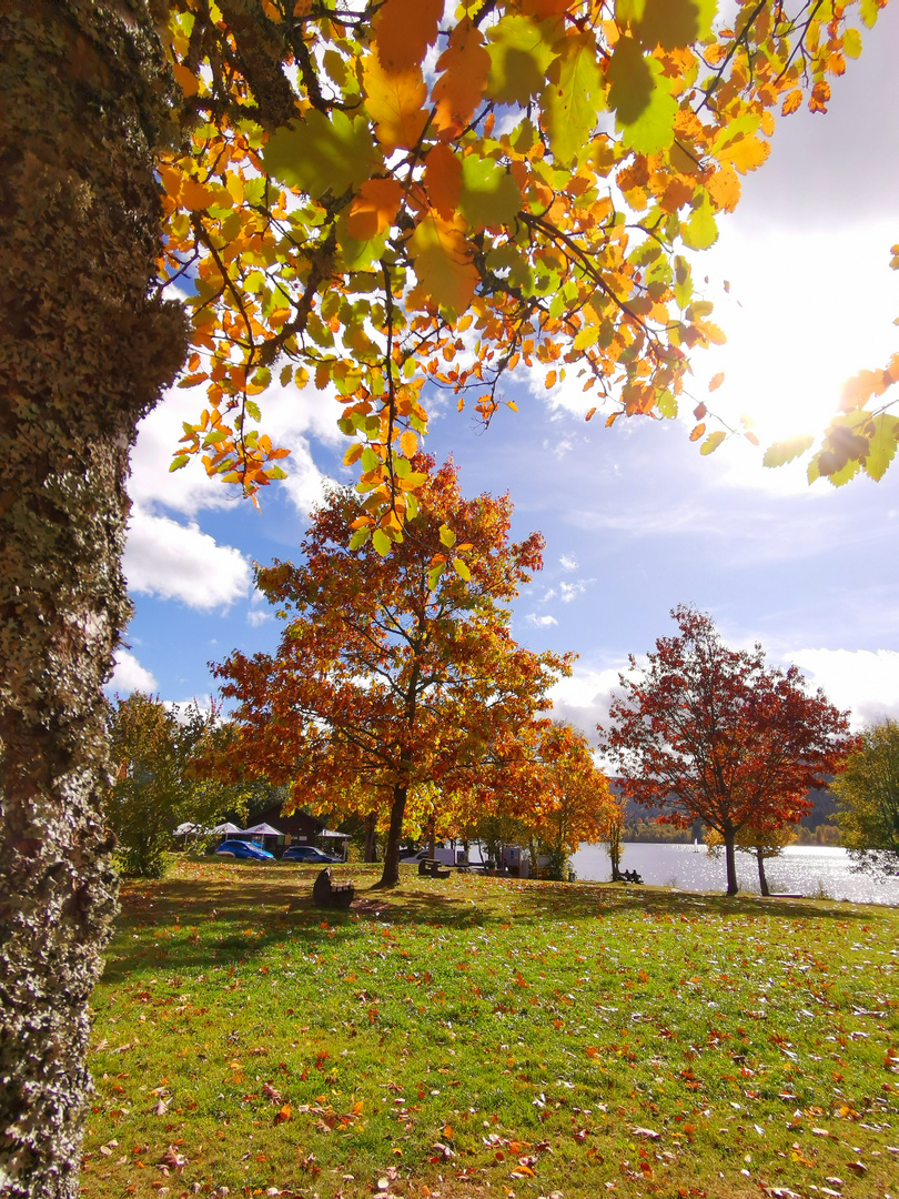 Rund um den Titisee 