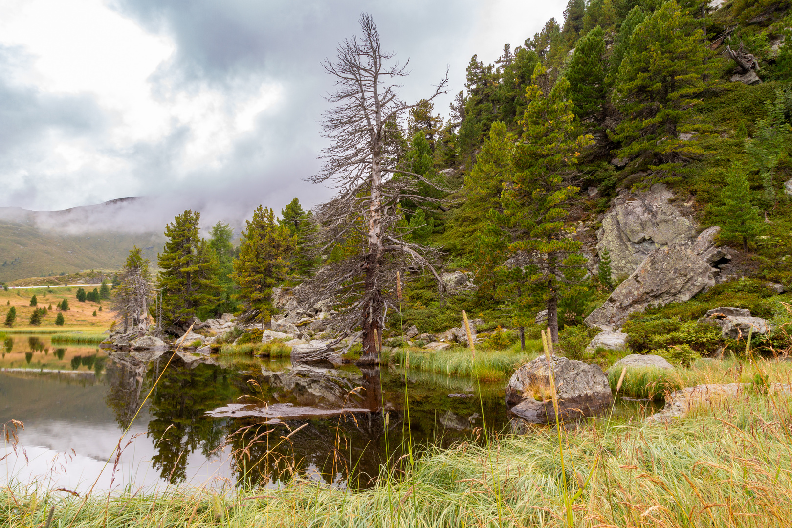 Rund um den Windebensee