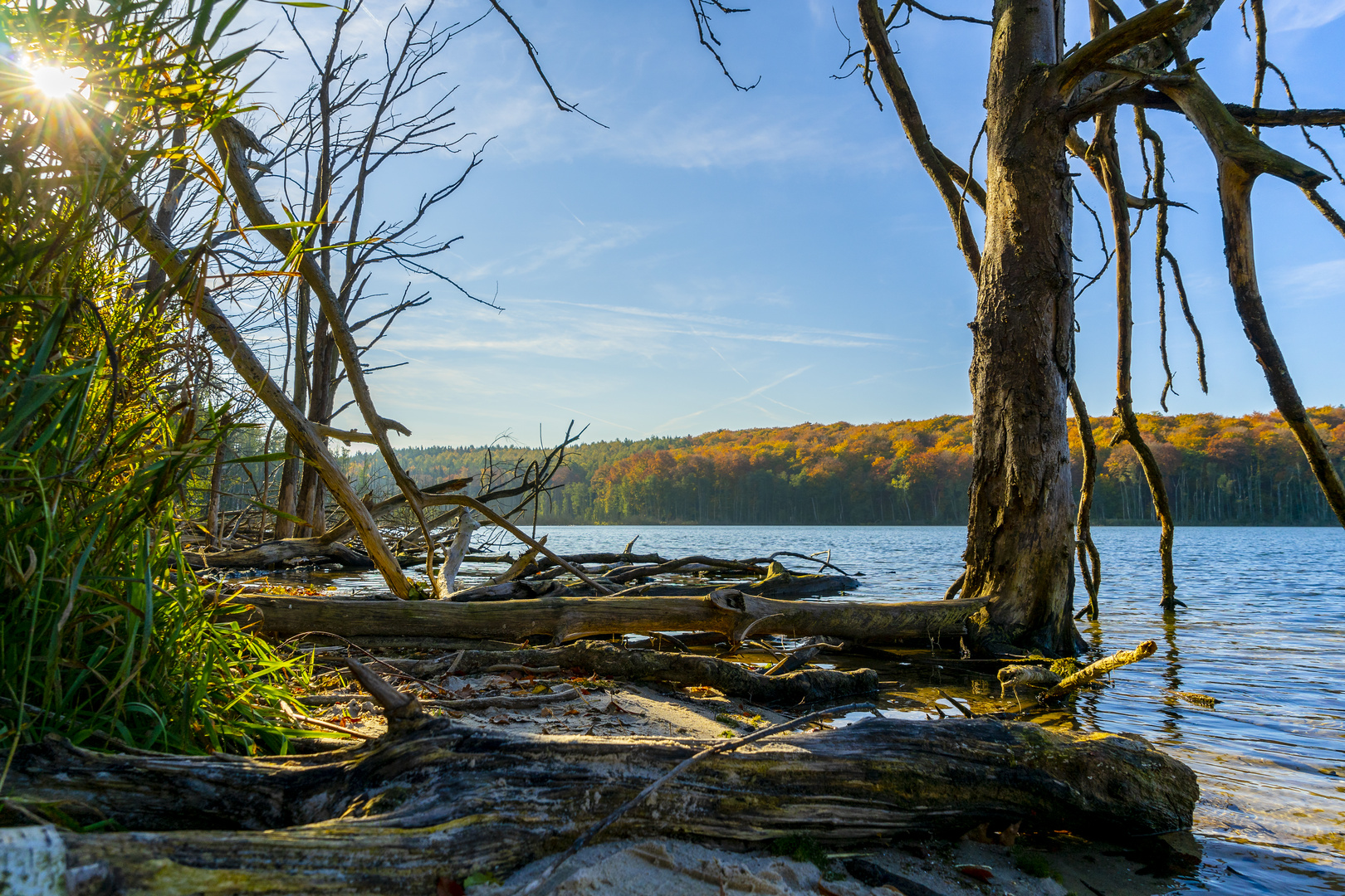 Rund um den Wolgastsee I