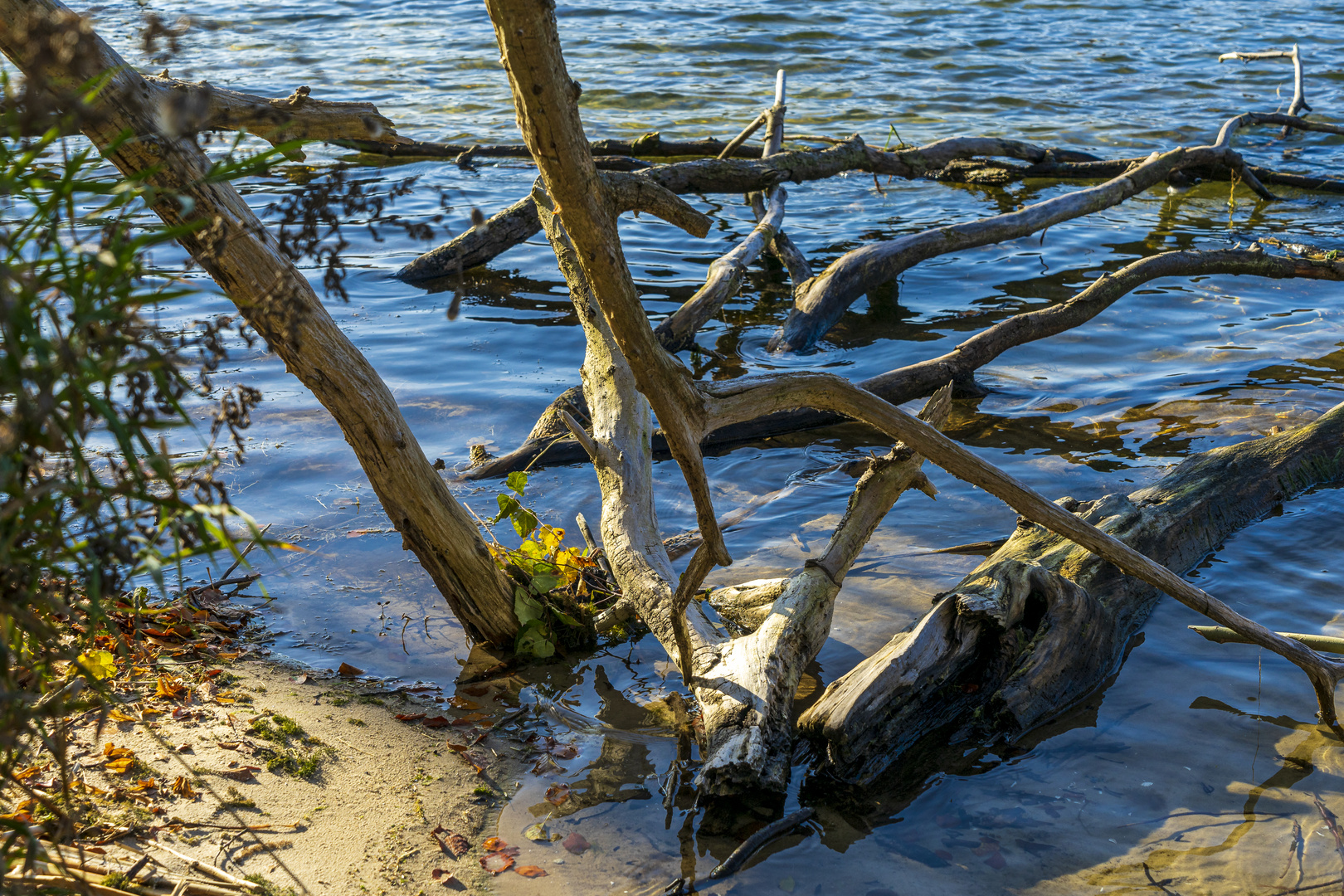 Rund um den Wolgastsee II