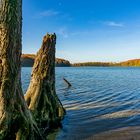 Rund um den Wolgastsee III