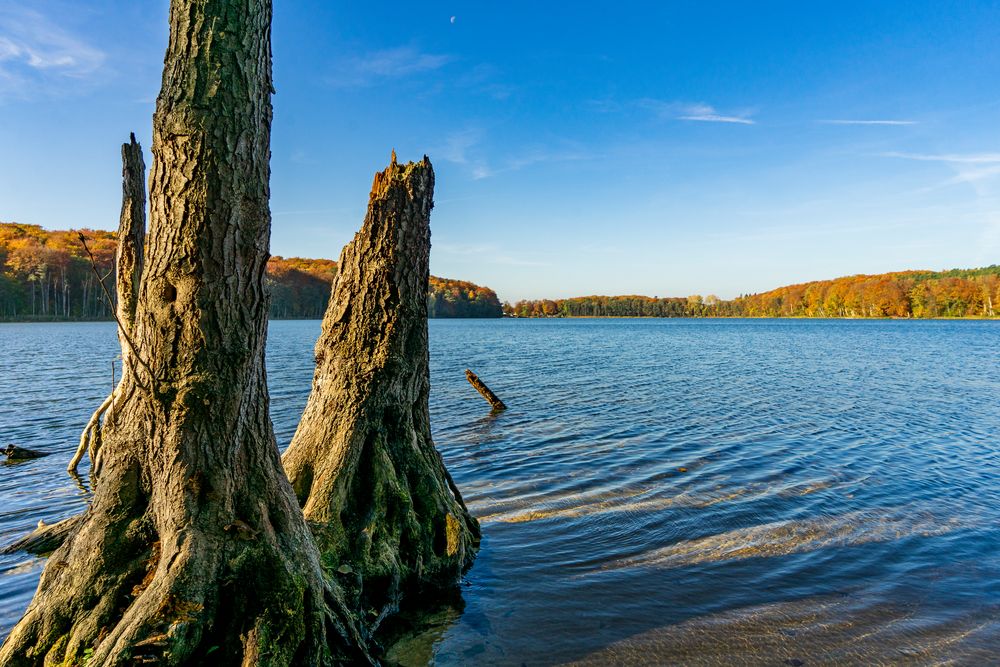 Rund um den Wolgastsee III