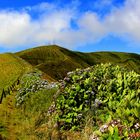 Rund um die Caldera