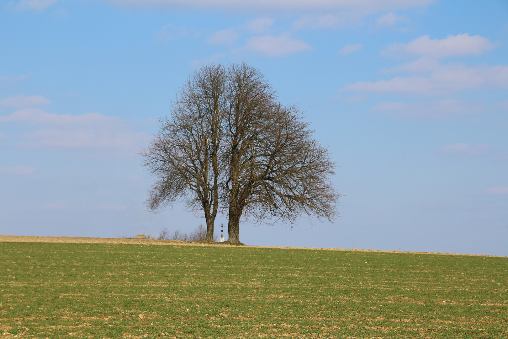 Rund um die Kappl