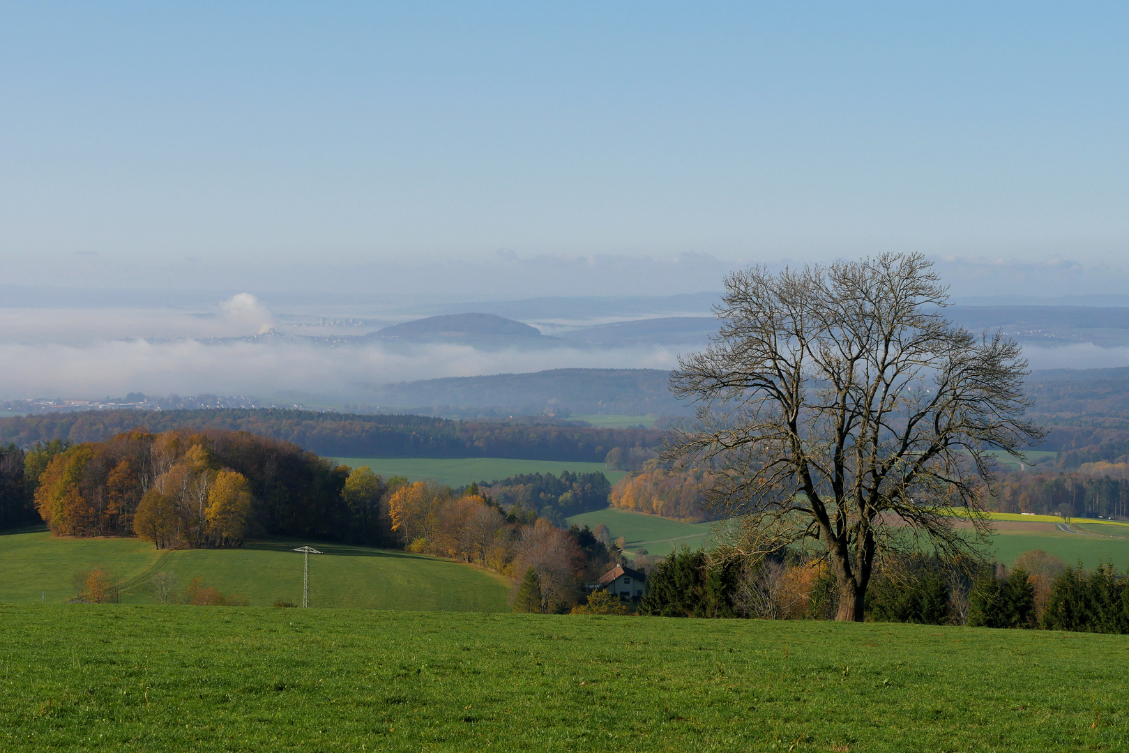 Rund um die Maulkuppe