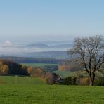 Rund um die Maulkuppe