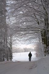 rund um die Maulkuppe 16.1.2017