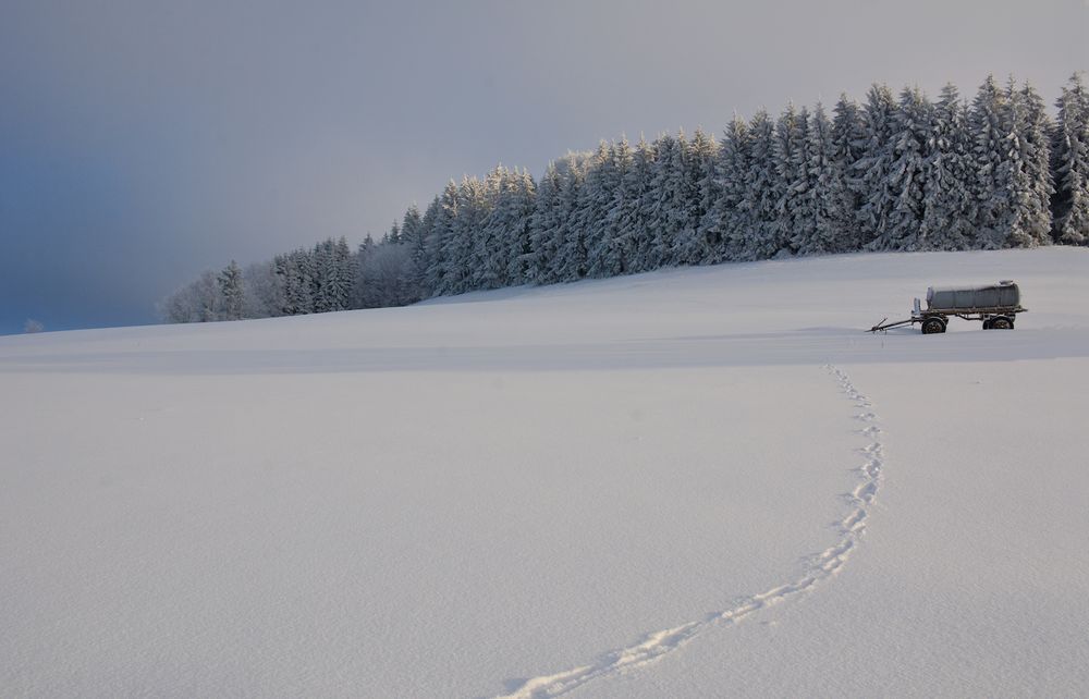 rund um die Maulkuppe 