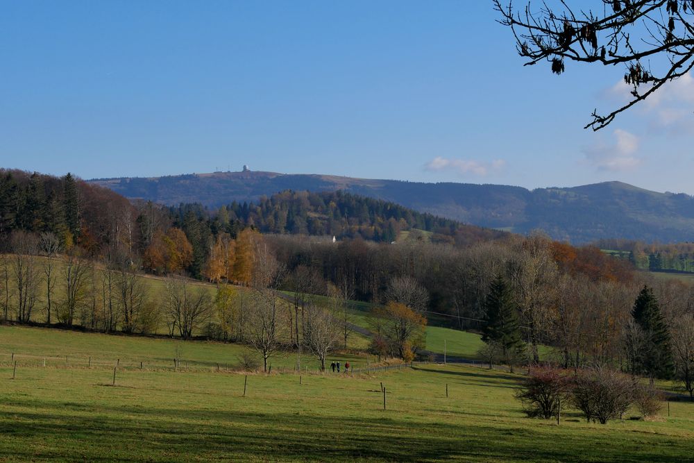 Rund um die Maulkuppe