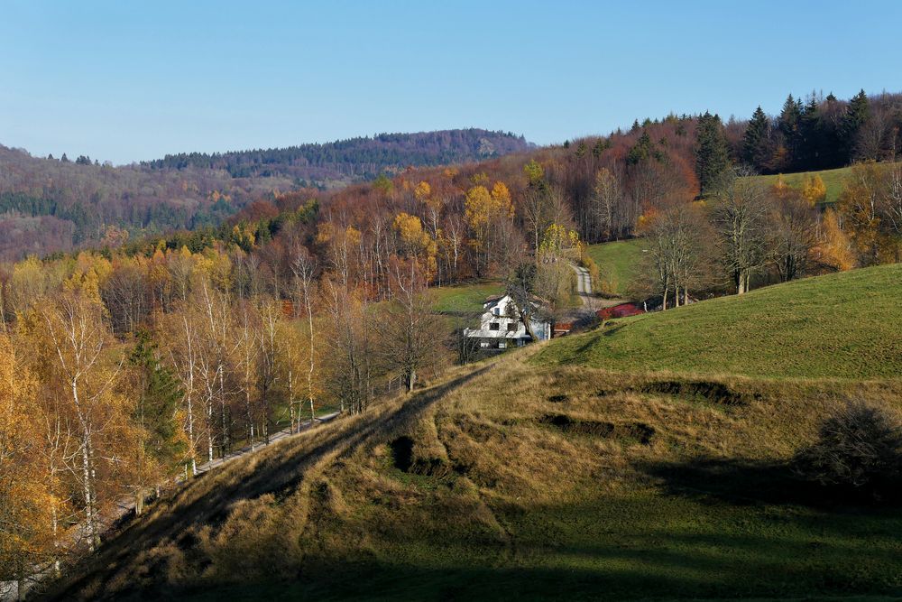 Rund um die Maulkuppe