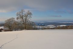 rund um die Maulkuppe 