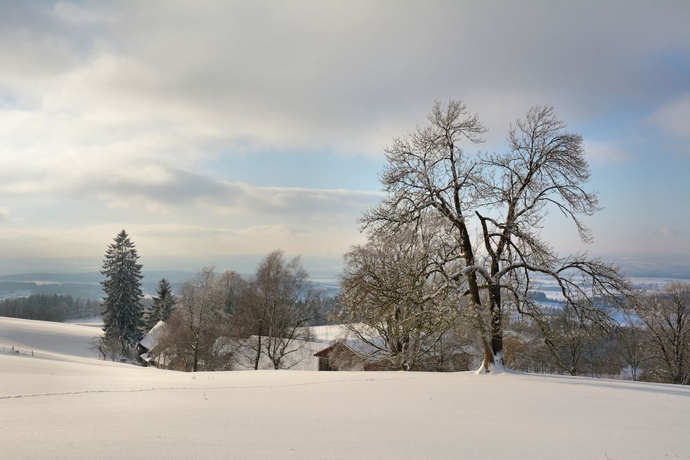 rund um die Maulkuppe 