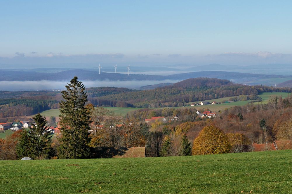 Rund um die Maulkuppe