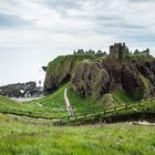 rund um Dunnottar 1