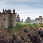 rund um Dunnottar 2