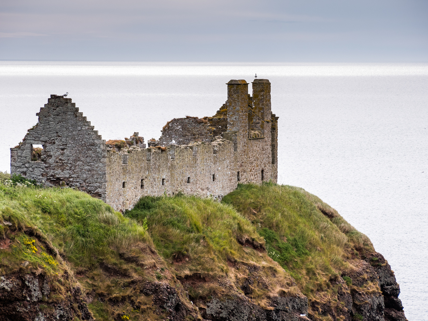 rund um Dunnottar 4