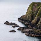 rund um Dunnottar 5