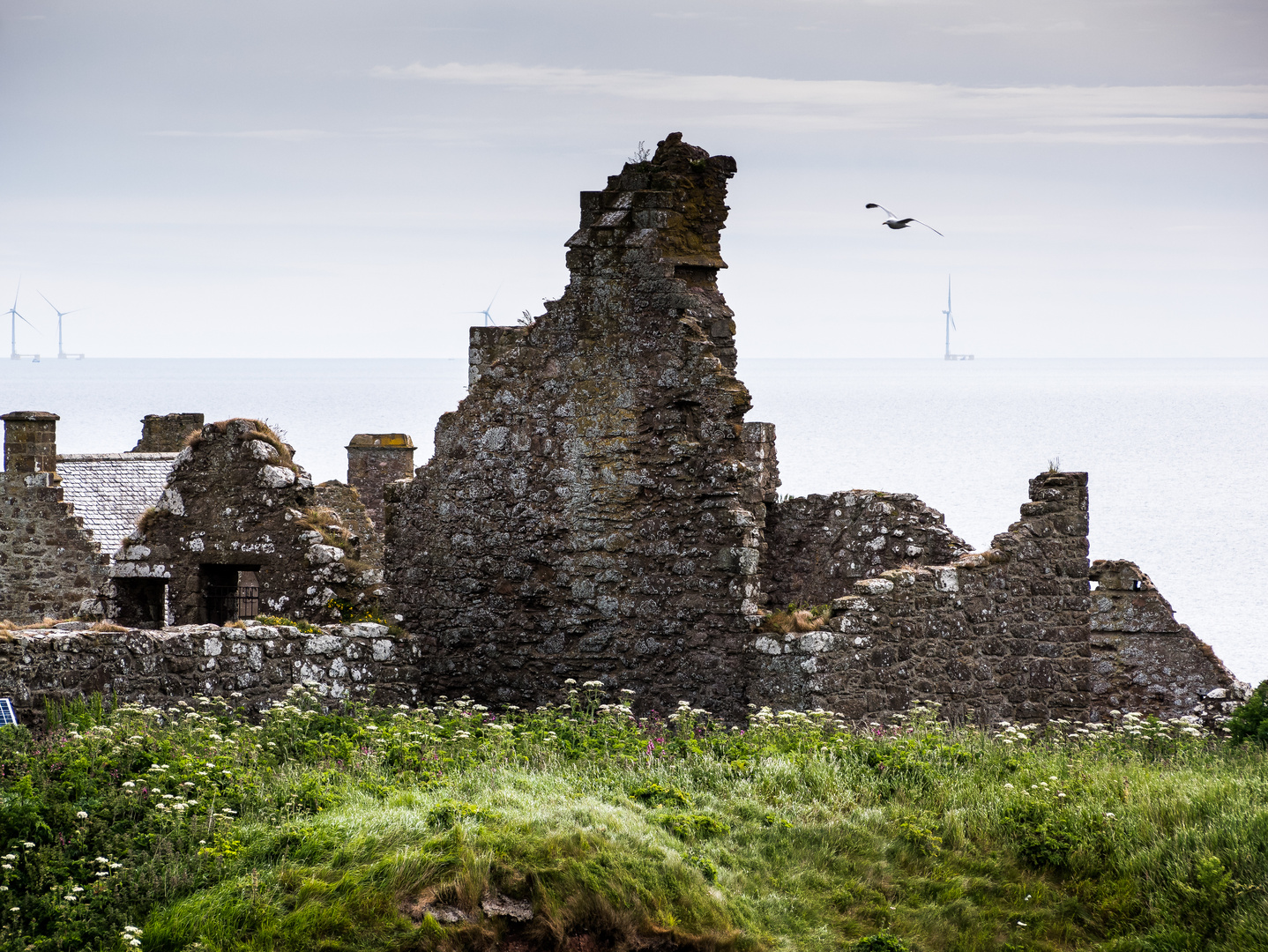 rund um Dunnottar 6