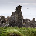 rund um Dunnottar 6