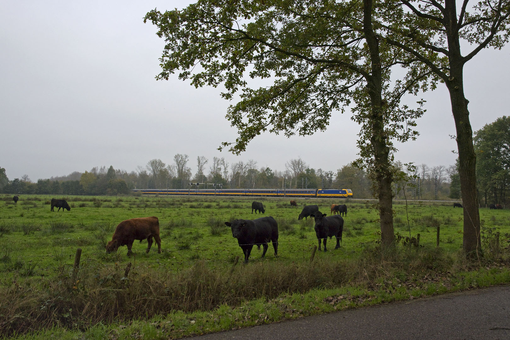 Rund um Eindhoven VI