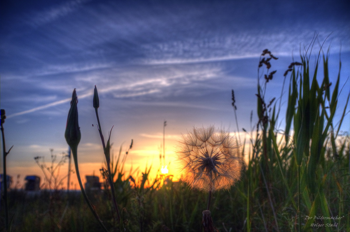 Rund um Fehmarn am Abend