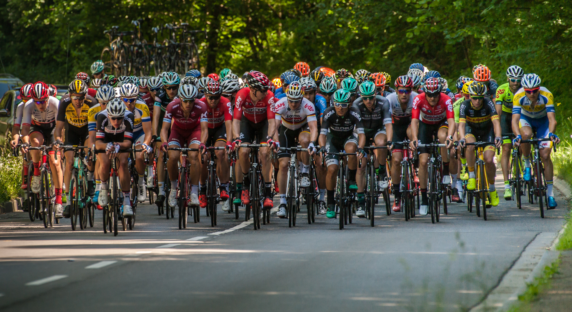 Rund um Köln 2017 Hauptfeld Foto & Bild sport, radsportarten