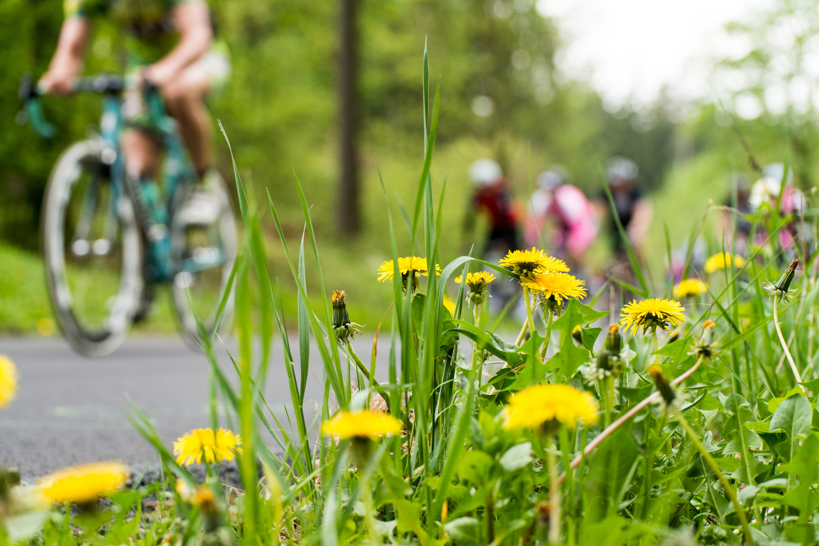 Rund um Köln, Frühling 2014