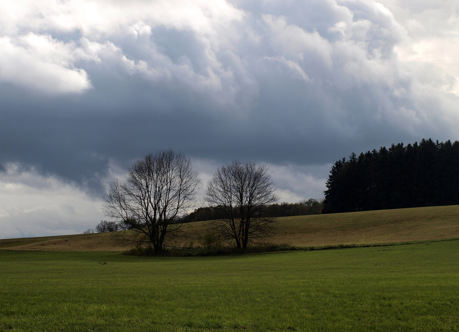 Rund um Ochsenwang 1