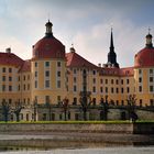 Rund um Schloss Moritzburg