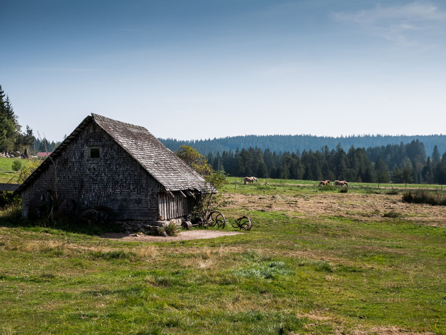 Rund um Schönwald 816