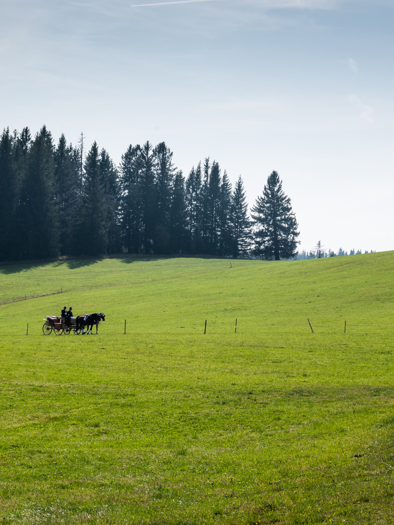 Rund um Schönwald 818