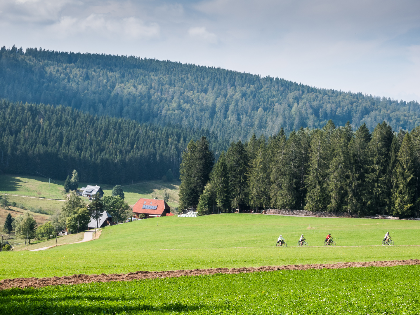 Rund um Schönwald 859