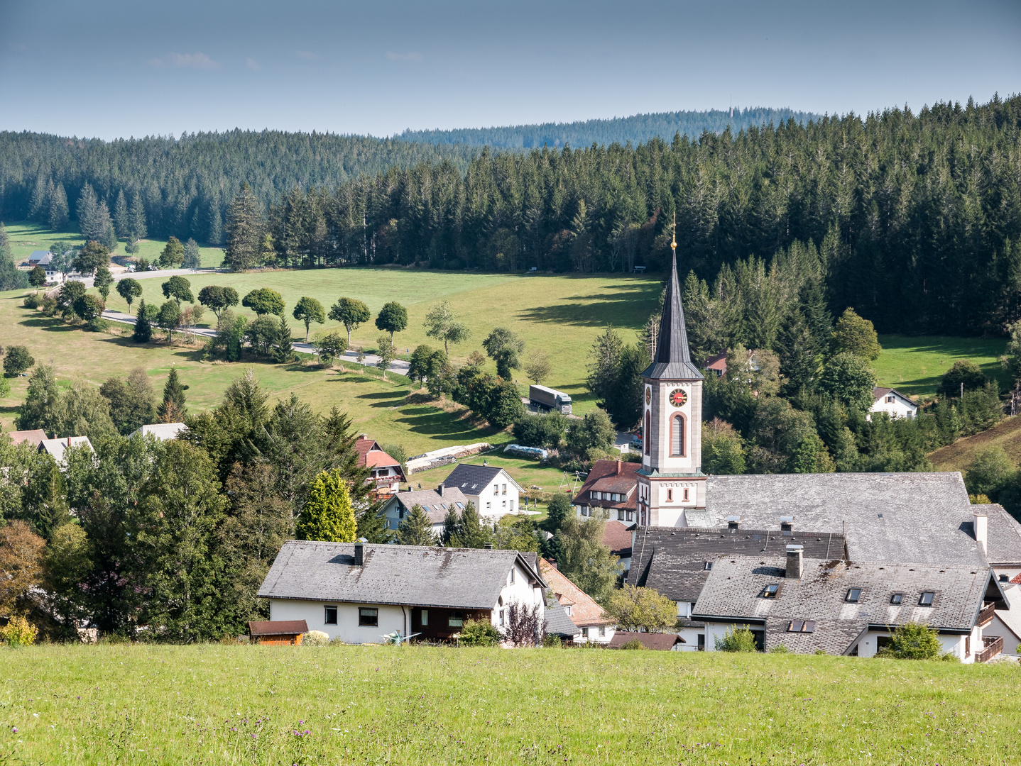 Rund um Schönwald 878