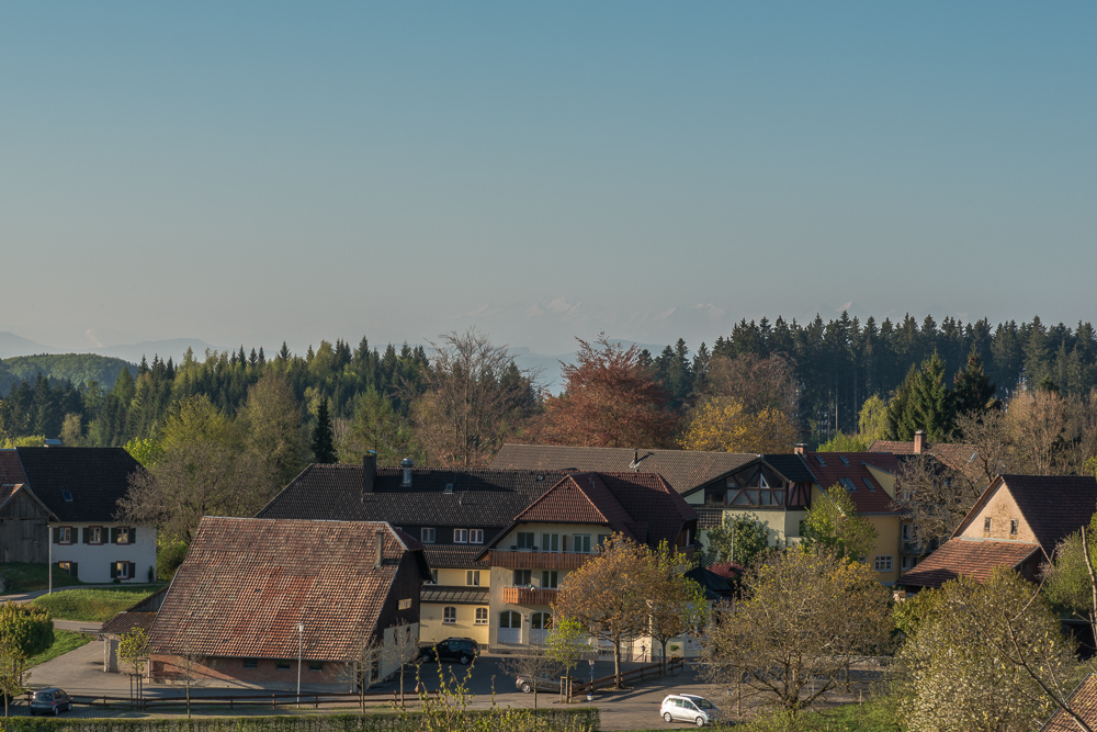 Rund um Schwand ein OT v. Tegernau im Kl. Wiesental Nr.1