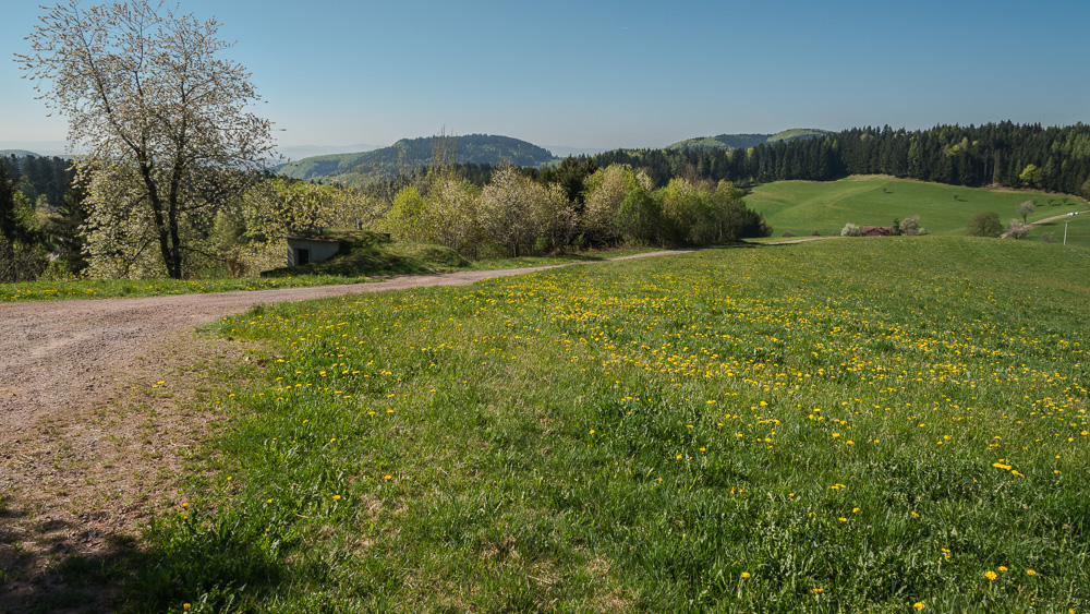 Rund um Schwand ein OT v. Tegernau im Kl. Wiesental Nr.11