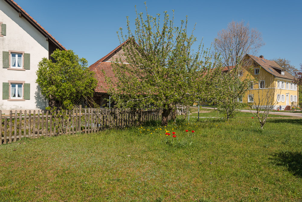 Rund um Schwand ein OT v. Tegernau im Kl. Wiesental Nr.2