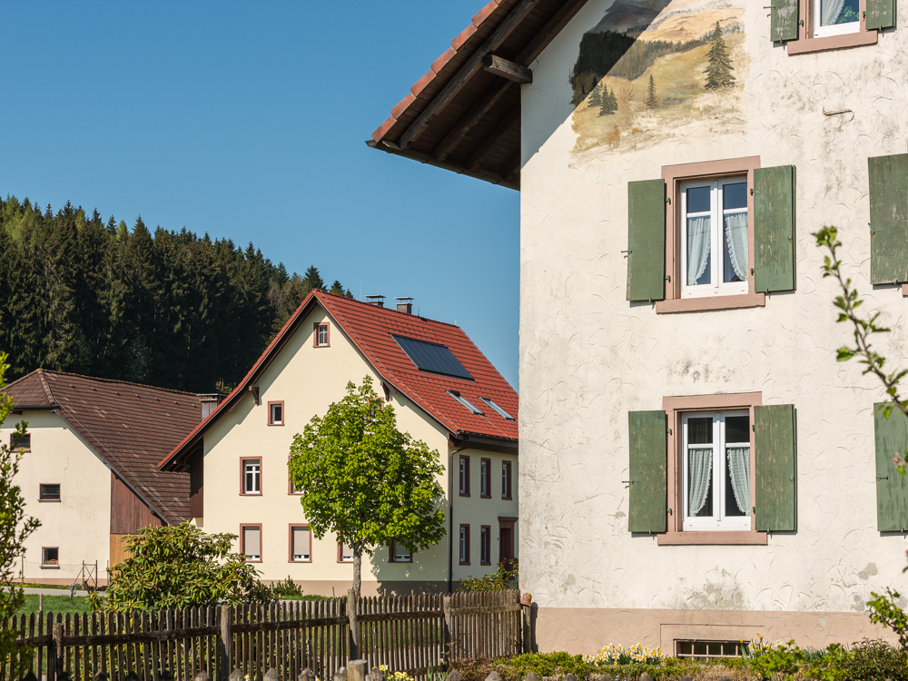 Rund um Schwand ein OT v. Tegernau im Kl. Wiesental Nr.3