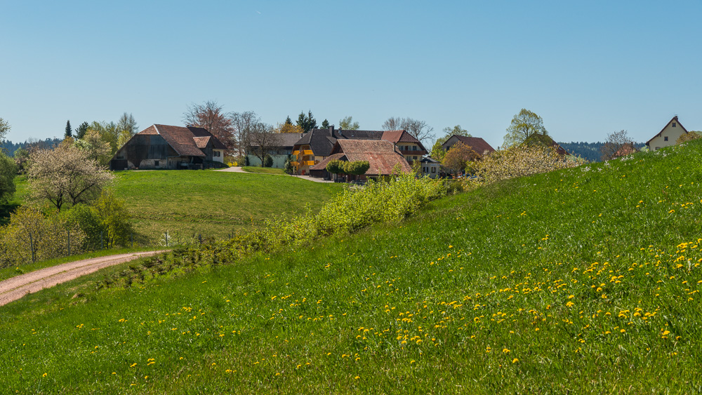 Rund um Schwand ein OT v. Tegernau im Kl. Wiesental Nr.7