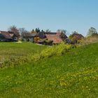 Rund um Schwand ein OT v. Tegernau im Kl. Wiesental Nr.7